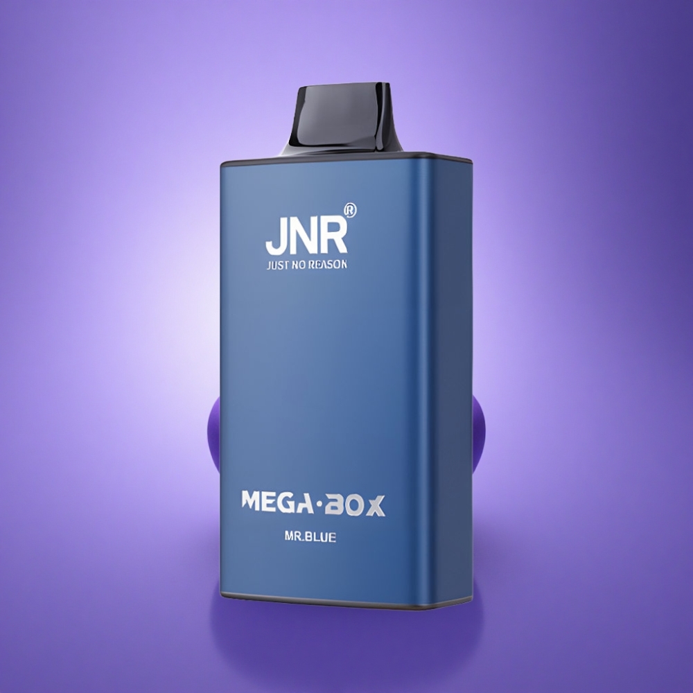 JNR Mega Box 25000 Mr Zils 30ml 850mAh