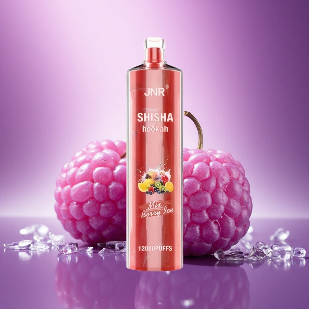 JNR Shisha Hookah 12000 Ogu 750mAh 24ml Latviešu Berry Ledus